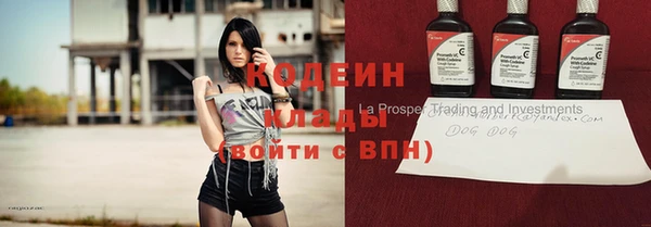 дживик Тихвин