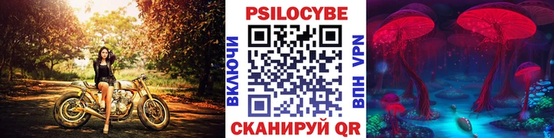 Купить где  Усолье-Сибирское  Псилоцибиновые грибы Cubensis 